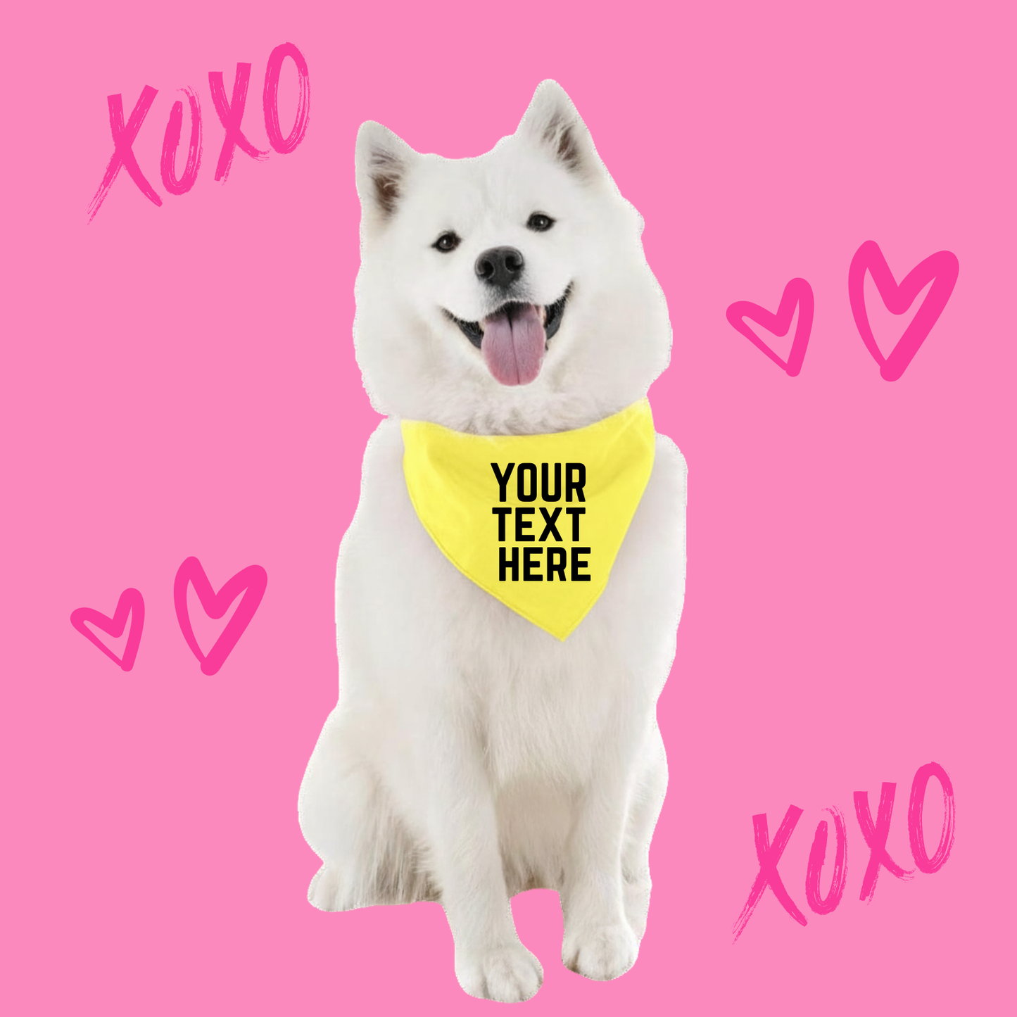 Custom Dog Bandana